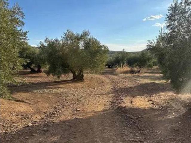 Terreno en venta en Chiclana de Segura, Jaén