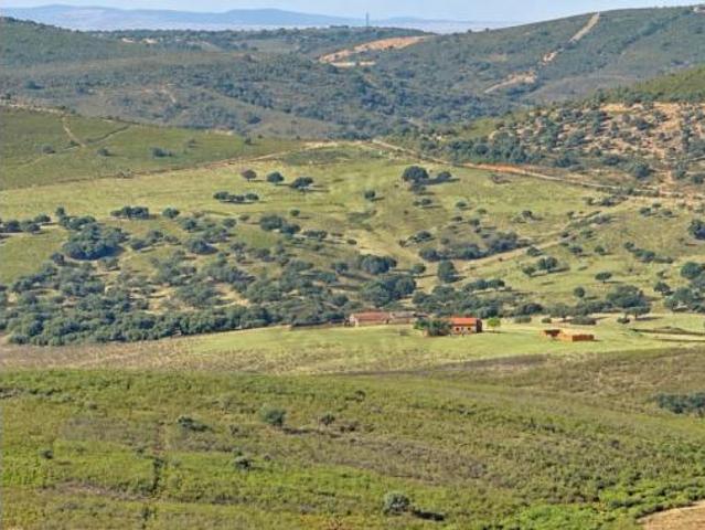 Terreno en venta en Verezales de Zamarrilla, Deleitosa