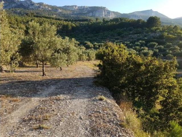 Terreno en venta en el Castell de Guadalest, Alacant / Alicante