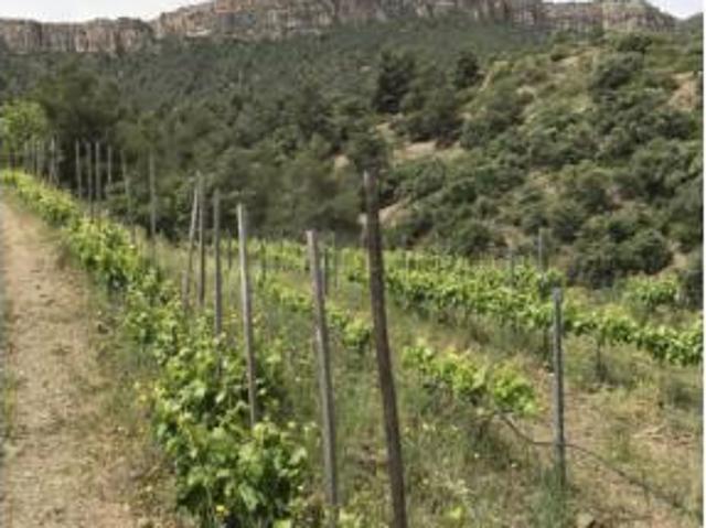 Terreno en venta en el Lloar, Tarragona