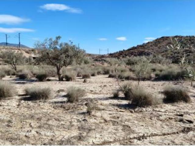Terreno en venta en Sax, Alacant / Alicante
