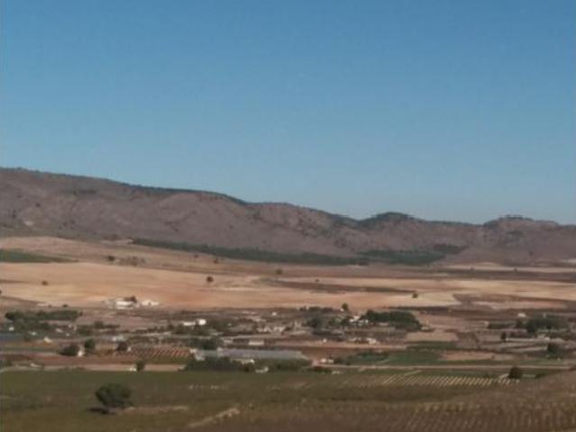 Terreno en venta en Hellín, Albacete