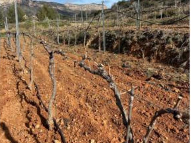 Terreno en venta en Gratallops, Tarragona