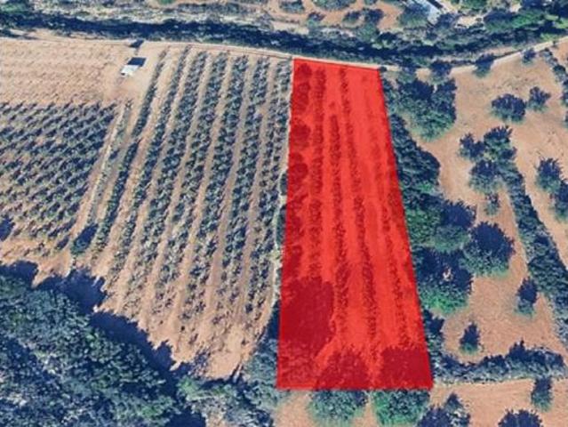 Terreno en venta en Sant Antoni, Llombai