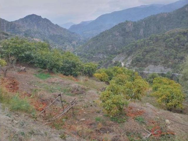 Terreno en venta en Guájar Faragüit, Los Guájares
