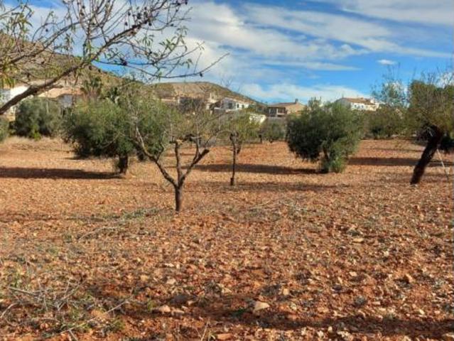 Terreno en venta en Lubrín, Almería