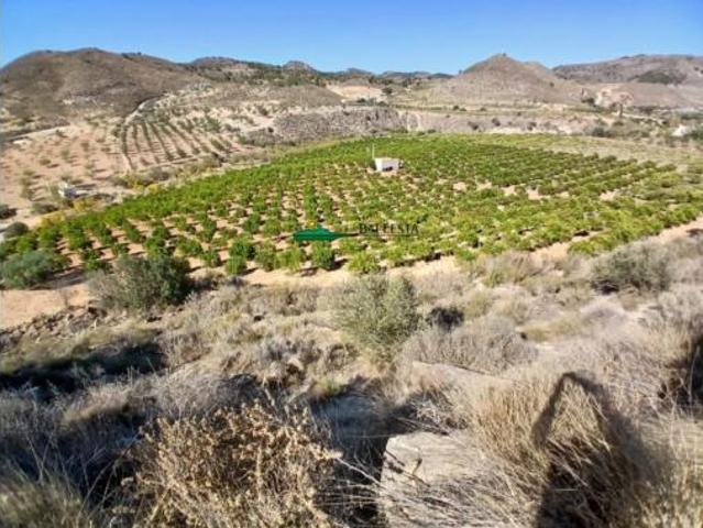 Terreno en venta en La Noria, Lubrín