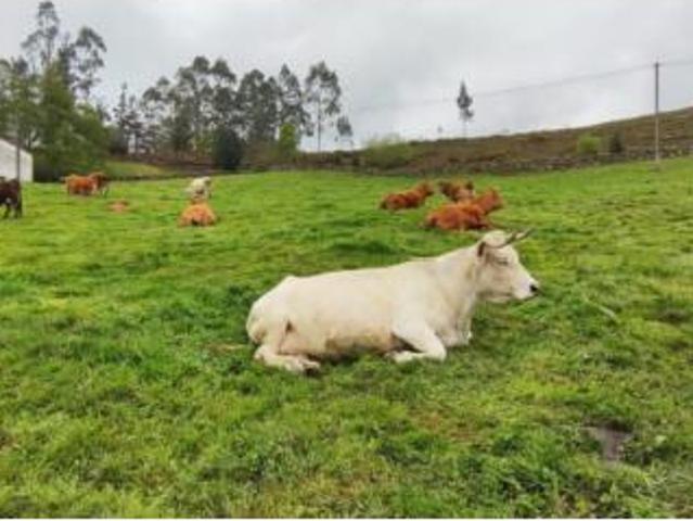Terreno en venta en San Miguel de Luena, Luena
