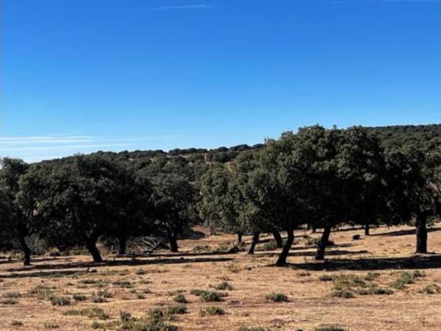 Terreno en venta en Lumbrales, Salamanca