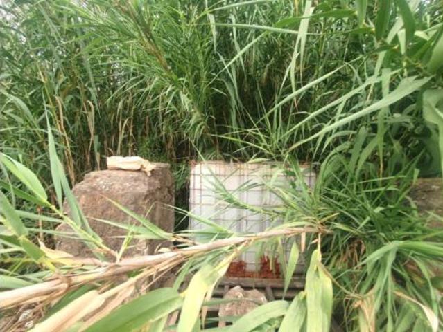 Terreno en venta en Dos Hermanas, Málaga