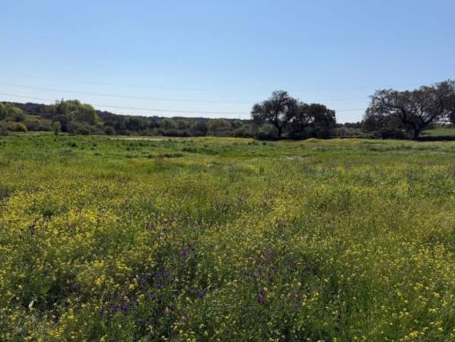 Terreno en venta en Malpartida de Plasencia, Cáceres