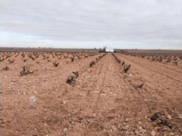 Terreno en venta en Manzanares, Ciudad Real