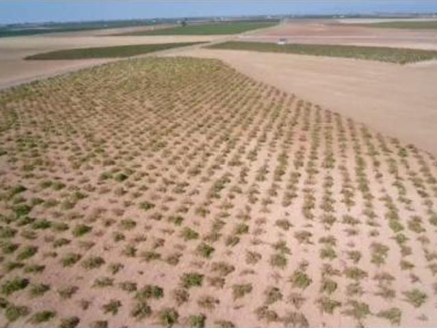 Terreno en venta en Manzanares, Ciudad Real