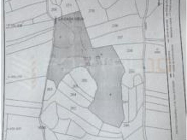Terreno en venta en Nogalillo, Mijares