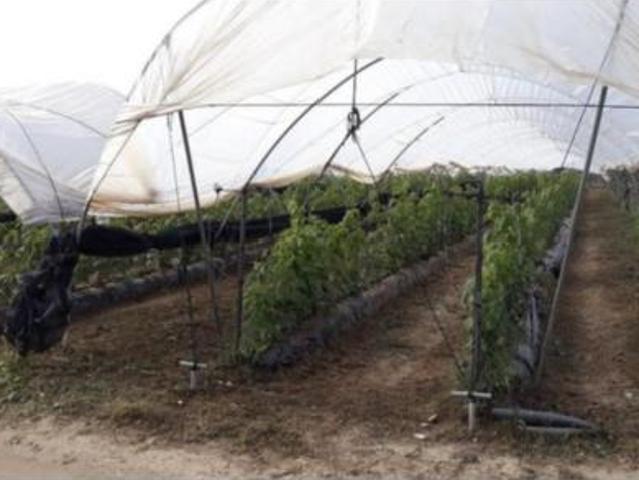Terreno en venta en El Condado, Andalucía