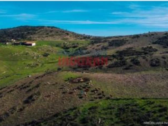 Terreno en venta en Montemolín, Badajoz