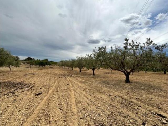 Terreno en venta en Urbanització El Balcó de Montroi, Montroi / Montroy