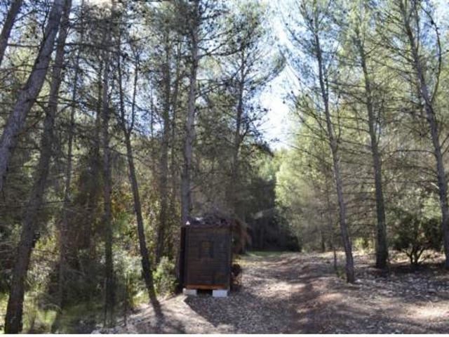 Terreno en venta en Casas Nuevas, Mula