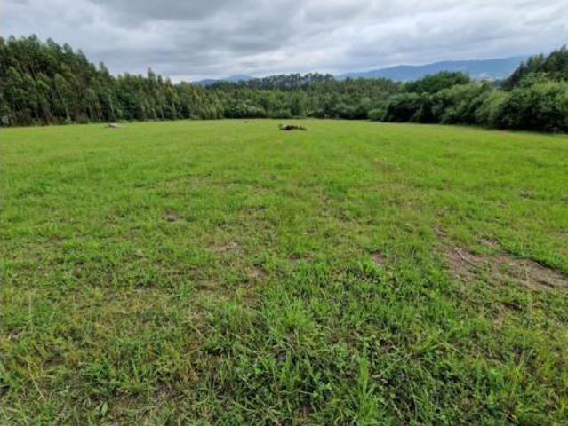 Terreno en venta en Mungia, Bizkaia