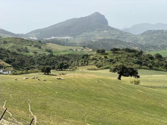 Terreno en venta en Barriada Constitución, Olvera