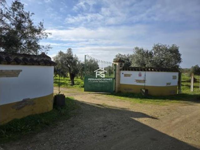 Terreno en venta en Pilas, Sevilla