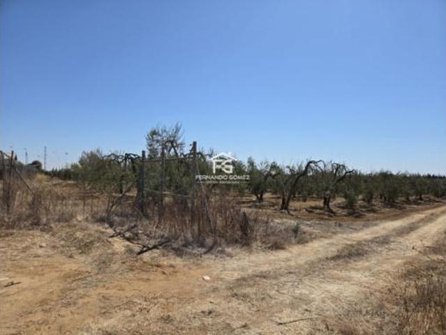 Terreno en venta en Pilas, Sevilla