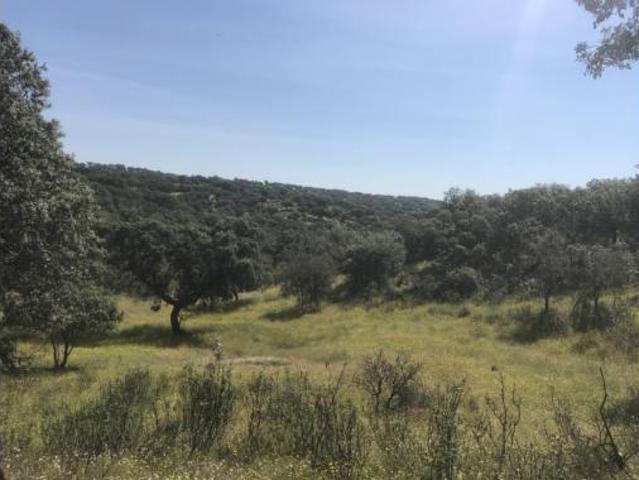Terreno en venta en Polígono Industrial Plasencia Sur, Plasencia