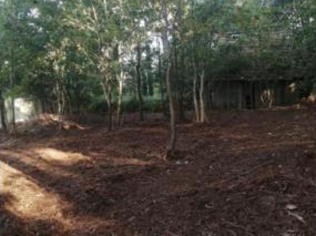Terreno en venta en A Castiñeira, Ponteareas