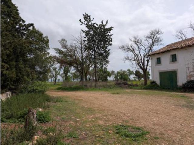 Terreno en venta en Pozorrubio, Cuenca
