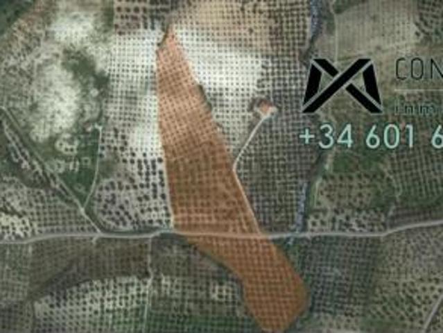 Terreno en venta en Pruna, Sevilla