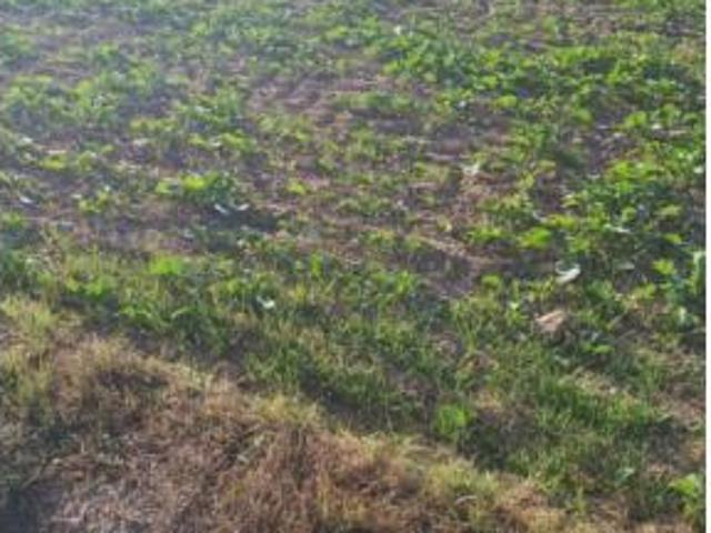 Terreno en venta en Puigverd de Lleida, Lleida