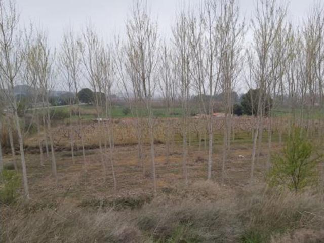 Terreno en venta en Artesa de Lleida, Lleida