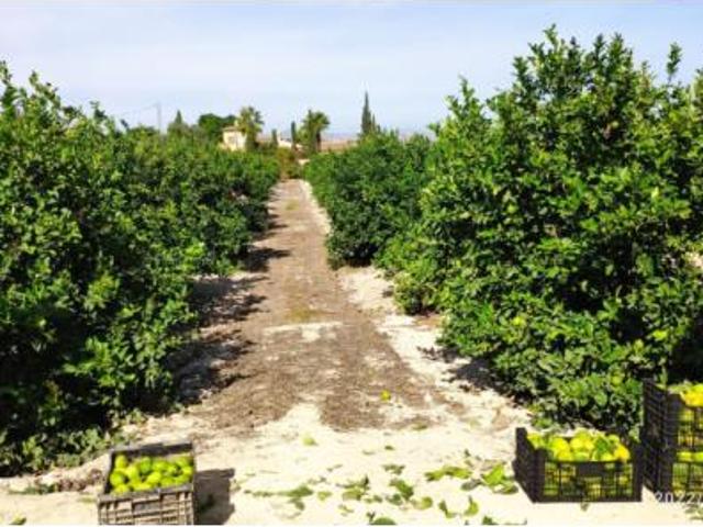 Terreno en venta en Redován, Alacant / Alicante