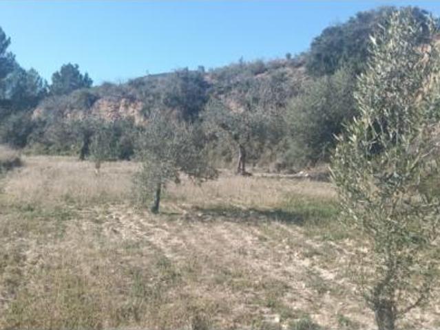 Terreno en venta en Relleu, Alacant / Alicante