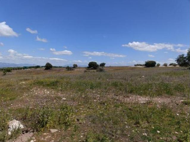 Terreno en venta en Salar, Granada