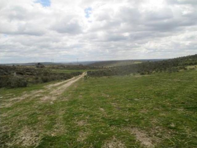 Terreno en venta en San Felices de los Gallegos, Salamanca