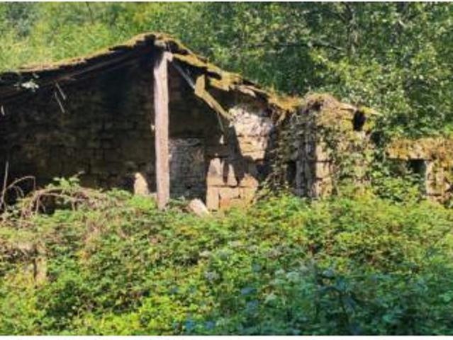 Terreno en venta en Selaya, Cantabria