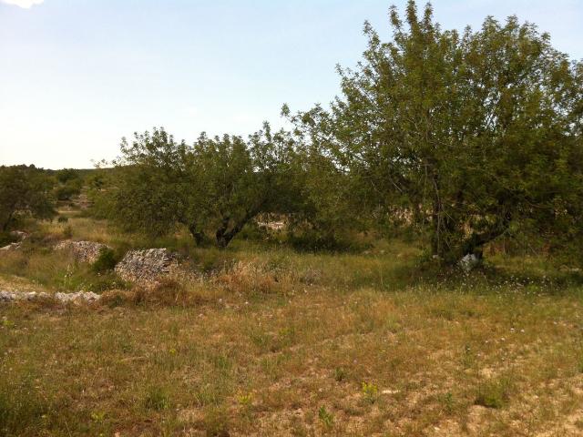 Terreno en venta en Tarragonès, Catalunya