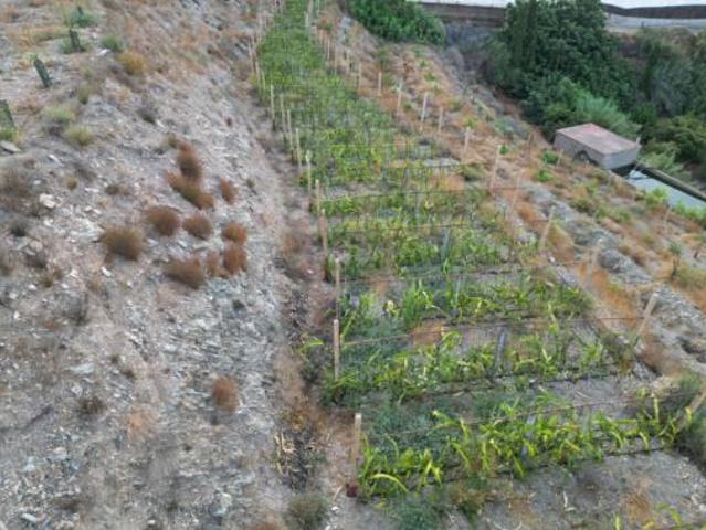 Terreno en venta en Torrenueva Costa, Granada
