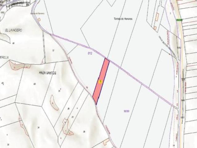 Terreno en venta en Tórtola de Henares, Guadalajara