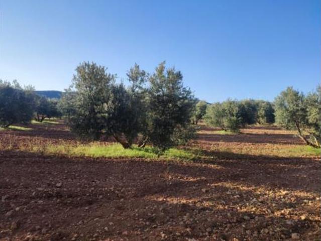Terreno en venta en Valdepeñas, Ciudad Real