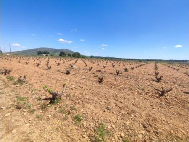 Terreno en venta en Baños del Peral, Valdepeñas