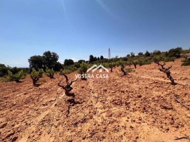 Terreno en venta en Casas del Rey, Venta del Moro