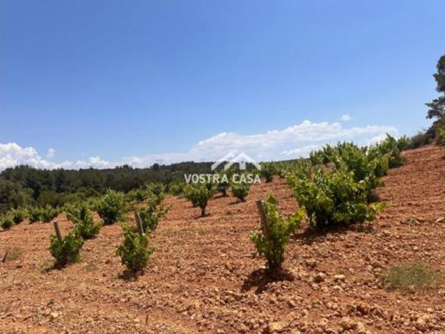 Terreno en venta en Venta del Moro, València / Valencia