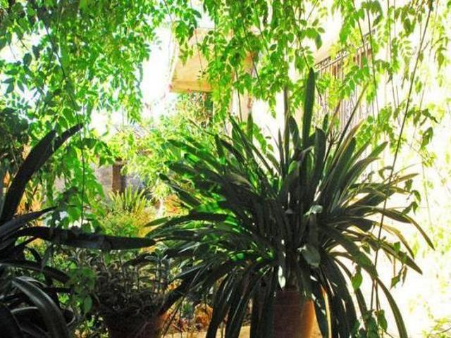 Casa en alquiler en Manacor