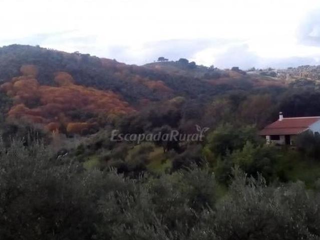 Casa en alquiler en Cazalla De La Sierra, Andalucía