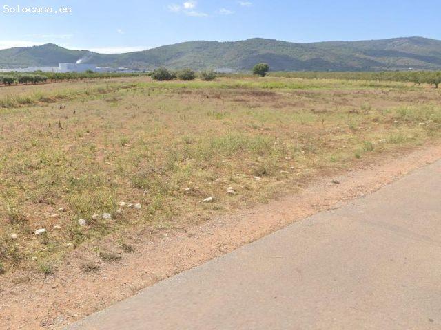Local Comercial en venta en la Plana Alta, Valencia