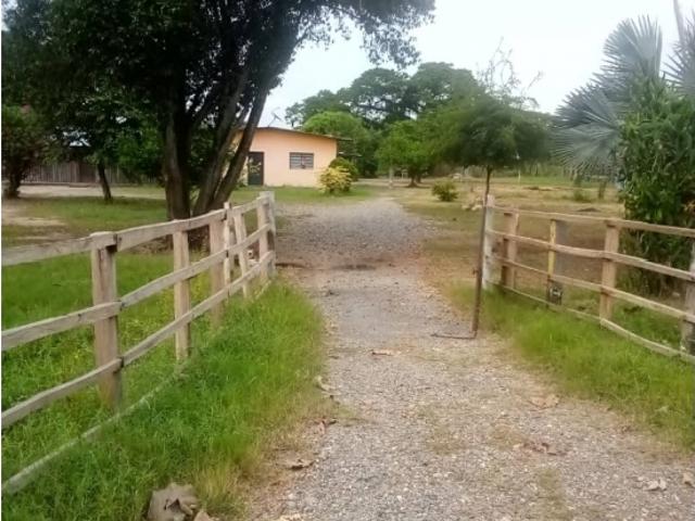 Finca en venta en Papelón, Portuguesa