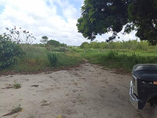 Finca en venta en Tacarigua De Brion., Miranda