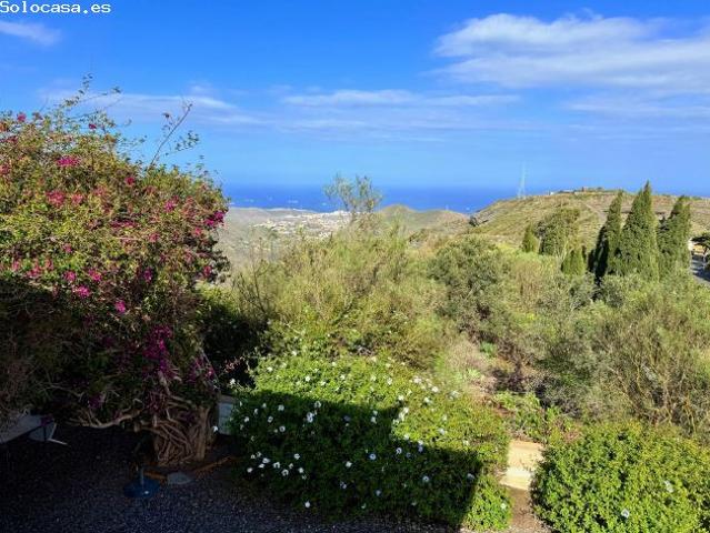 Local Comercial en venta en El Palmital, Telde